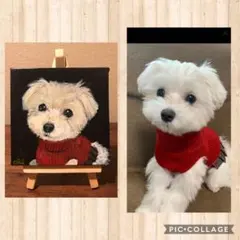 ペット似顔絵　うちの子　ペットイラスト　犬　猫　インコ　うさぎ