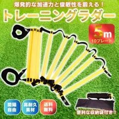 トレーニング ラダー 子供 サッカー フットサル スポーツ 基礎 瞬発力 5m