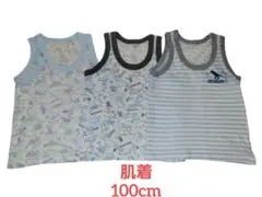恐竜柄・ストライプ柄シャツ肌着3枚セット 【100cm】