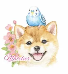 柴犬とセキセイインコの絵　水彩画　原画　癒し　動物の絵　豆柴　インコ