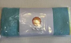 【新品未使用】LAVA公式ヨガラグ ミントグリーン