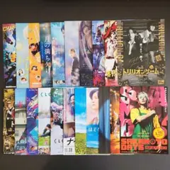 SnowMan 映画フライヤー21枚