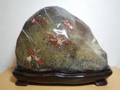 2026年最新】菊花石の人気アイテム - メルカリ