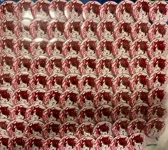 すとぷり 莉犬くん すとめも7 デフォ 缶バッジ89個