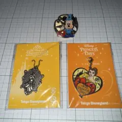ディズニーランドプリンセスデイズ　ディズニーシー10周年ピンバッチ　3点セット