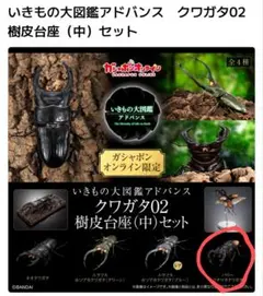 【オンライン版】いきもの大図鑑アドバンス　クワガタ02 パリーフタマタクワガタ