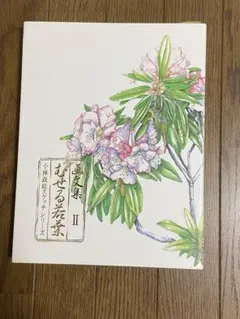 画文集 II むせる若葉