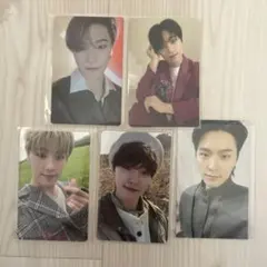 SEVENTEEN ディノ トレカ 5枚セッ舞い落ちる花びら an ode など