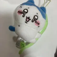 ハチワレ ぬいぐるみ