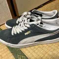 Item thumbnail for item 26e1c5bd-87da-4e97-9e03-b835371444a4