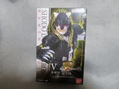 Item thumbnail for item a7e8704d-7d04-4c5f-8c75-c4846b4a3703