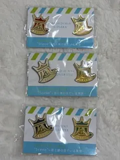 嵐　君と僕の見ている風景　ピンバッジ