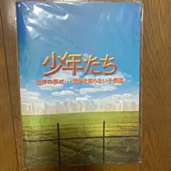 少年たち 2015年　パンフレット