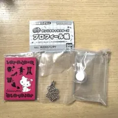 サンリオキャラクターズ　ガチャ　プロフィール帳　チャーミーキティ
