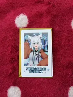 風*澤様 白上フブキ　ホロライブ 5th fes チェキ　30個セット ホロライブ 5thフェス 白上フブキ チェキ風カード 3枚セット - メルカリ