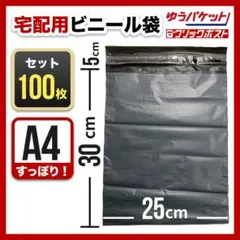 3セット＊宅配ビニール袋100枚セット（A4・グレー）