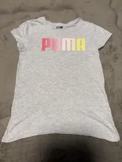 PUMA グレー Tシャツ　キッズ　12-14 プーマ