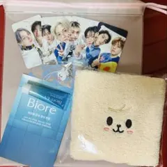 STRAYKIDS スキズ　3/29 6期ペンミ　入場特典セット　リノ　スンミン