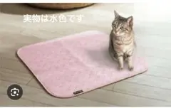 Item thumbnail for item 07232d27-4cc0-474e-aee7-9675b24e117a