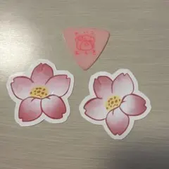 【超レア】大森靖子　ピックセット　13枚 2025年最新】大森靖子 ピックの人気アイテム - メルカリ