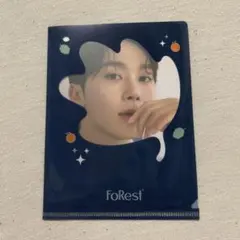 FoRest スングァン フォトカード SEVENTEEN