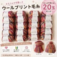値下げ 新品【ウール100%】毛糸 20玉 まとめ売り 編み物 グラデーション