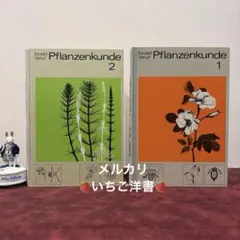 63①1981年ドイツインゼル植物画集　ジャンクジャーナル素材　ボタンニカル 63①1981年ドイツインゼル植物画集 ジャンクジャーナル素材 ボタン