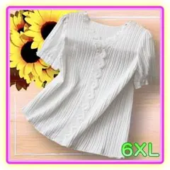 極美品　プリーツプリーズ　グラデーションカラー　半袖カットソー　夏 極美品 プリーツプリーズ グラデーションカラー 半袖カットソー 夏