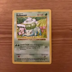 旧裏・英語　フシギダネ ● 第1弾拡張パック　Bulbasaur