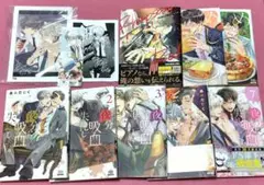 【特典付セット】夜分に吸血失礼します。 あみだむく めしぬま 7 リーフレット