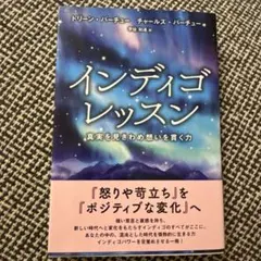 インディゴレッスン 真実を見きわめ想いを貫く力