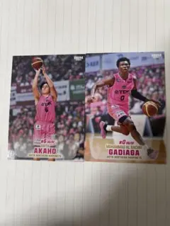 秋田ノーザンハピネッツ バスケットボール