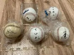 ヤクルトスワローズ　サインボール（レプリカ）　５個セット
