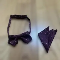 新品未使用☆コムサイズム　エンジ　ドット柄　蝶ネクタイ＆ポケットチーフセットF