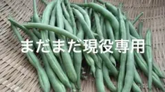 まとめ売り