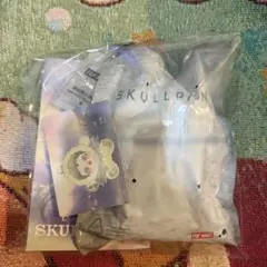 p*h様 SKULLPANDA L'impressionnisme Pond