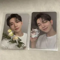 seventeen 17 is right here ジョシュトレカ