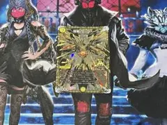 煌龍 サッヴァーク　黒　㊙︎3