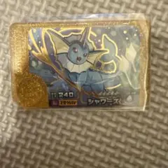ポケモン フレンダ シャワーズ