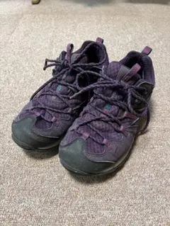 Item thumbnail for item 922da30f-1301-4358-bd91-c957714830a9