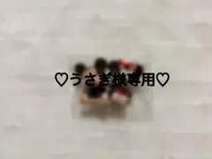 ♡うさきぎ様専用♡