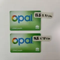 オクトパスカード 成人用1枚 子供用2枚セット - メルカリ