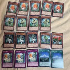 白の物語 ノーパラ 6枚 烙印融合 氷剣竜ミラジェイド 等 即購入OK