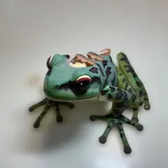 Item thumbnail for item 6e57d880-91b0-47f7-ab9e-0eddb56d262b