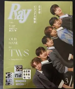 TWS Ray 2024年3月