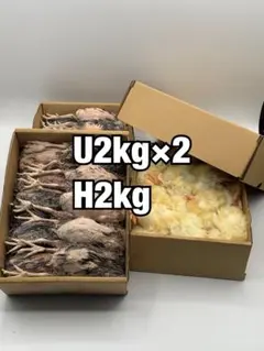 国産】冷凍ヒヨコ 400羽 ふわふわ鮮度抜群！ - メルカリ