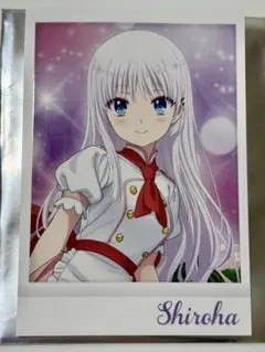 サマポケ キャラクターグッズ