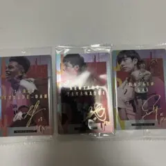 男子バレーボール　選手トレーディングカードセット