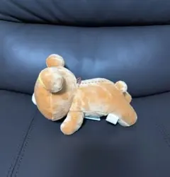 リラックマストア限定　チャイロイコグマ　がおがおポージングぬいぐるみ 2025年最新】チャイロイコグマ ポージングぬいぐるみの人気アイテム