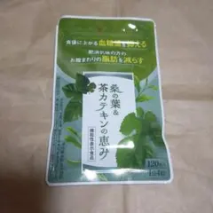新品　和漢の森　桑の葉&茶カテキンの恵み30日分のサムネイル